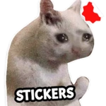 cat memes stickers wasticker android application logo